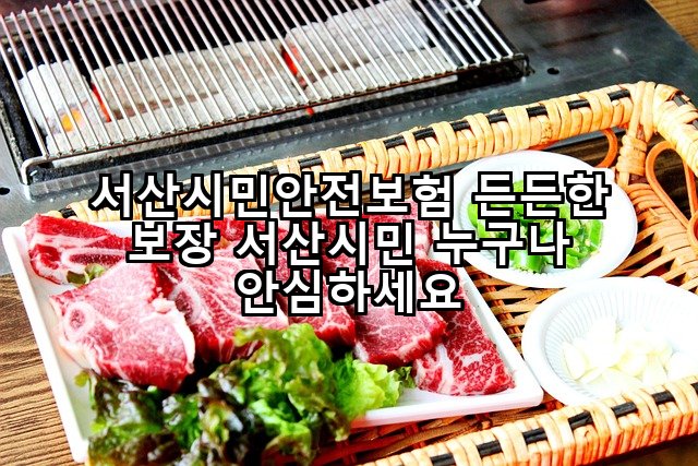 서산시민안전보험 든든한 보장 서산시민 누구나 안심하세요